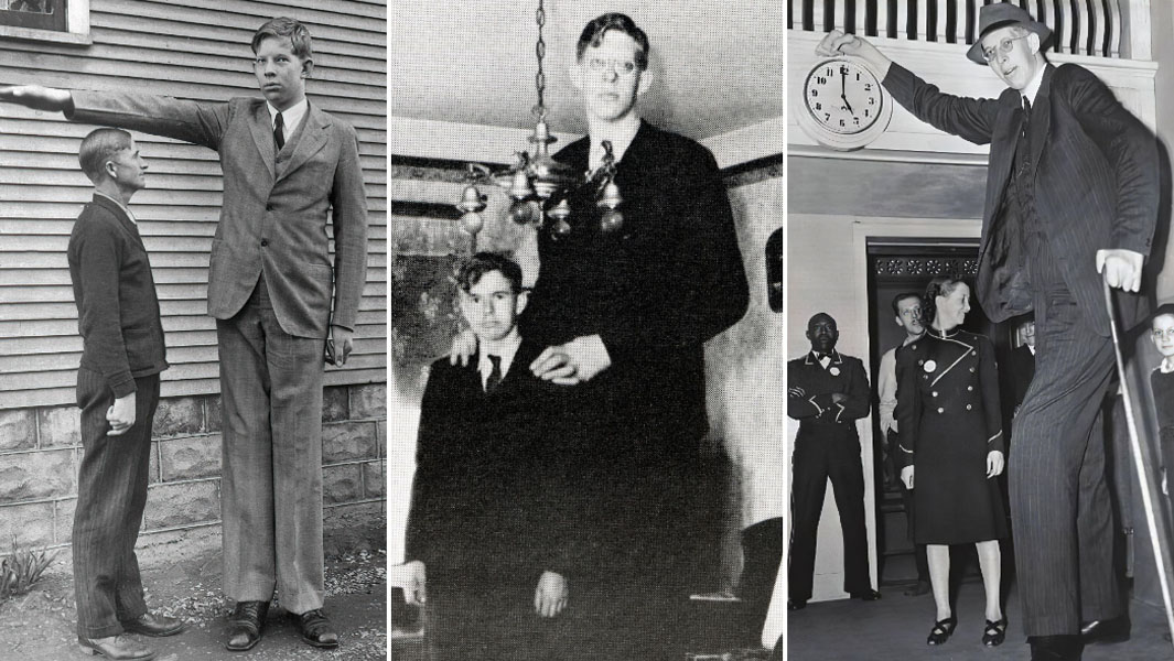 split image of Robert Wadlow