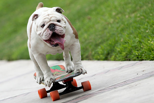Otto on skateboard
